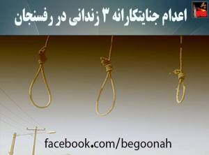 11822461_487959011364343_7979600149562851402_n