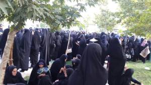 11825603_489913501168894_6045058873728765435_n