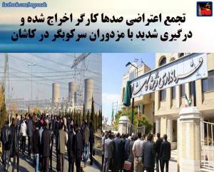 11825717_487972861362958_3137636151977475449_n