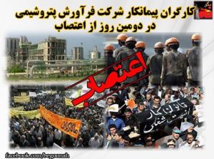 11836735_487076331452611_4413670171387746421_n