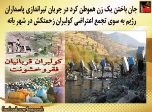 11846664_487993974694180_6005292974066814276_n