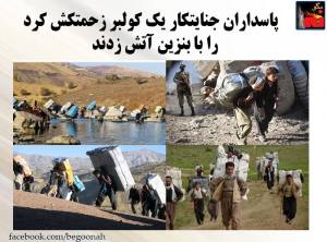 11866420_489776881182556_4021866981412827997_n