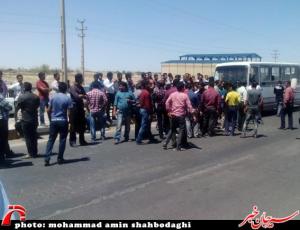 11873370_492685270891717_2555612093583859856_n