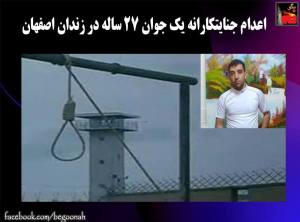 11873483_489781031182141_6071849266802443652_n