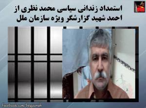 11873529_492056417621269_3903633943250711642_n