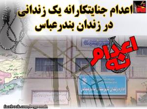 11880319_496747467152164_301905251079541749_n