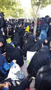 11880326_489949324498645_4325648805926414904_n