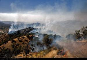 11880448_496507637176147_8125585687295245850_n