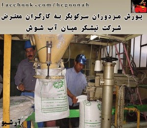 11884040_496087447218166_8618115332623831410_o