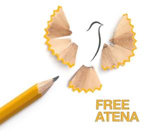 11888660_498912423602335_8428693643584897699_o