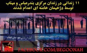 11889522_492779310882313_6649643537408372559_n