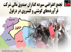 11889551_496850393808538_6962031950542865130_n