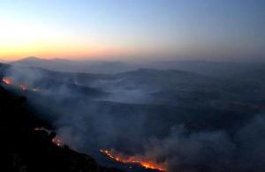 11889582_493230957503815_7910961101052632453_n