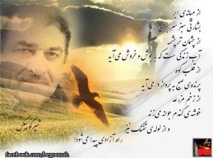 11889590_497375003756077_929361479200255919_n