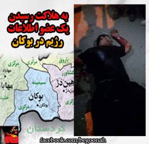 11889615_497495683744009_7659199486770015225_n