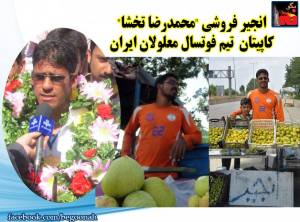 11889641_496183237208587_787708721576022973_n