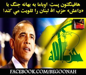 11896217_494426000717644_5089476385493403377_n