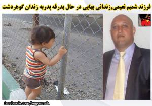 11896232_494804017346509_2345830236589009411_n