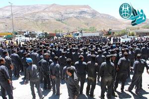 11898853_495124740647770_8794833308661623926_n