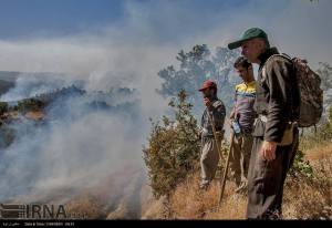 11900047_496507633842814_619854360832801081_n