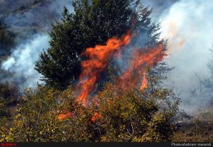 11900049_493230970837147_5022614951316560457_n