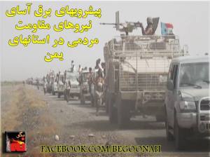 11902265_491406477686263_6985022363209043628_n