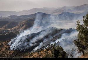 11902342_496507643842813_4998292721091822643_n