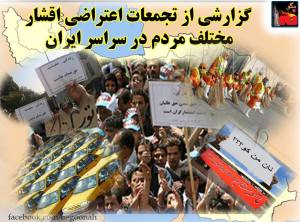 11902519_498147087012202_5012384257253109791_n