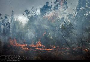 11902591_496507650509479_4044039050565187062_n