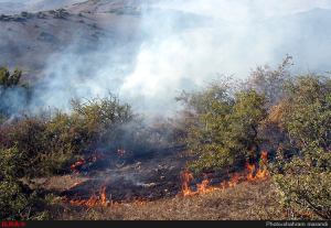 11917757_493230974170480_6973289441261926677_n