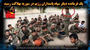 11924358_498130410347203_5727742472719723873_o