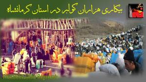 11935680_496465653847012_1810592533345289702_o