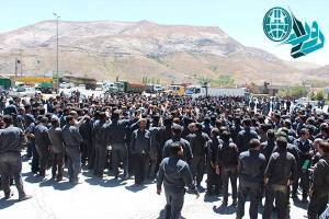 11949432_495124733981104_1864096827492759362_n