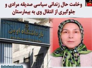 11949498_499293220230922_7576980861332718298_n