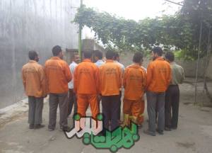 11950182_496719823821595_2034447398515318075_o