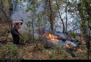 11951381_496507660509478_4838774596622498179_n