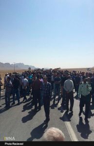 11952022_498903600269884_5141278184475190304_n