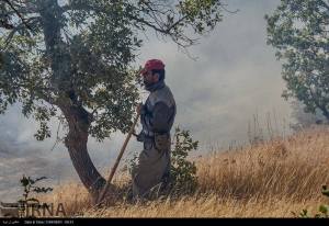 11953211_496507653842812_2276545040362150611_n