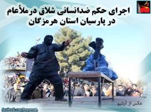 11144930_500600906766820_53991508246967147_n