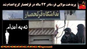 11224170_502348796592031_7970447888474734346_n