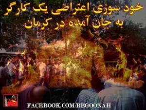 11930894_502446253248952_3879425570419886385_o