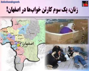 11933426_500568753436702_7530452143304198883_n