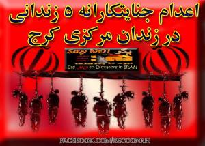 11949308_500273540132890_8852004709165660888_n