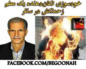 11951254_499414003552177_9055074777154383873_n