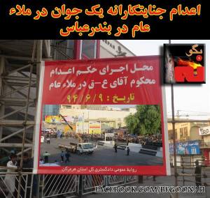 11951278_499419890218255_3749064911733210576_n