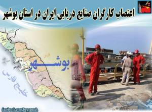 11990615_501048073388770_8409211873378574593_n