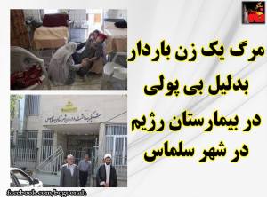 11998831_501165110043733_5920928457100518442_n