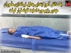 12039231_509661812527396_7946088414205883343_n