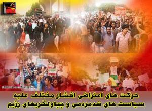 12042690_508108212682756_5892860493660801319_n