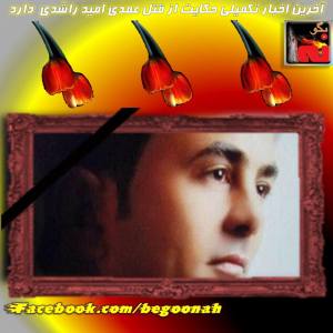 12043033_509911745835736_444739702970222006_n